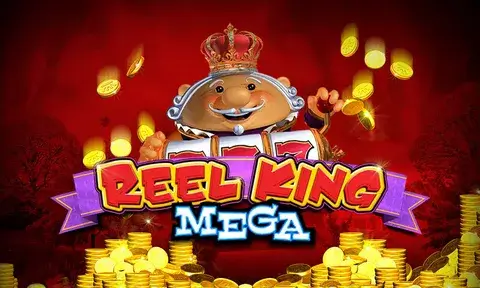 Surga19 Mega Reels Exclusive
